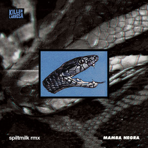 Mamba Negra Remix