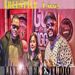 Freestyle (feat. Yosi la princesa, Goodfella & Dj Royan) (Live)