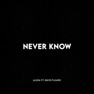 Never Know (feat. David Flumen)