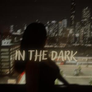 IN THE DARK