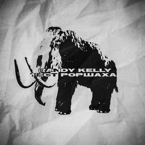 Тест Роршаха (Explicit)