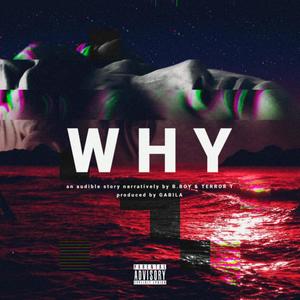 WHY (Explicit)