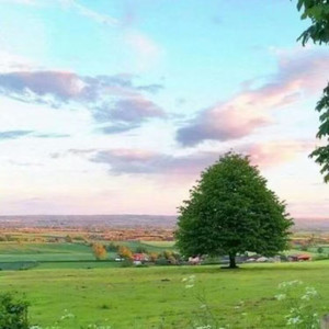 逃不过世俗风沙