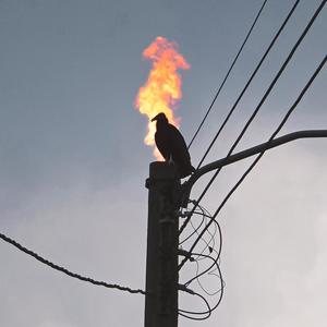 Searching for light (feat. Gax Win)