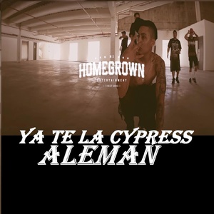 Ya Te La Cypress