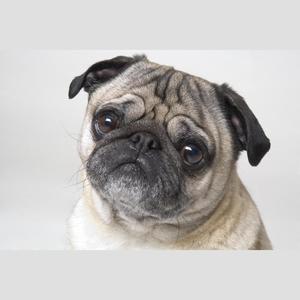 灵感中的催眠曲 (Demo)