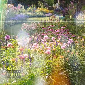 Wasted Nights(intro) (Explicit)