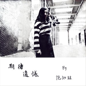 在南方的北方人demo