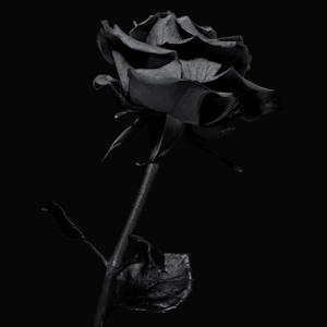 SHAWNTY (Tsick) (feat. minhhien) (Explicit)