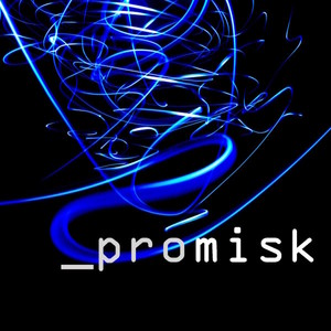 Promisk