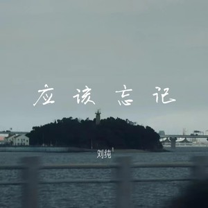 应该忘记-刘纯