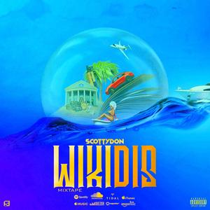 Wikidis Mixtape (Explicit)