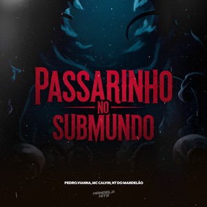 PASSARINHO NO SUBMUNDO (Explicit)