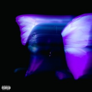 Euphoria Vibe (Explicit)