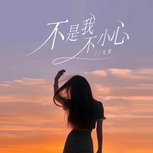 不是我不小心 (女版)