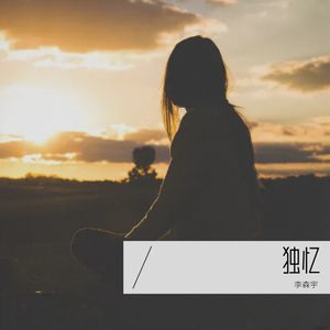 独忆 (重制版)