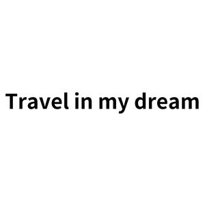 Travel In My Dream