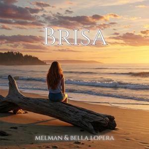 BRISA
