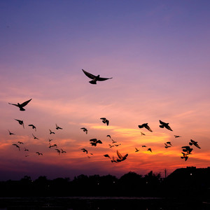 crying in your sleep