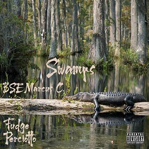 Swamps (feat. Fudge & Perciotto) [Explicit]