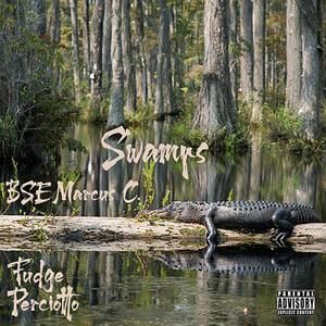 Swamps(feat. Fudge & Perciotto) (Explicit)