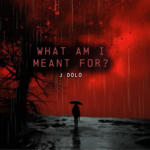 What am I meant for? (Explicit)