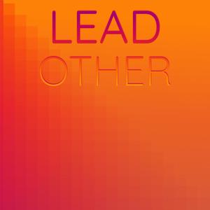 Lead Other