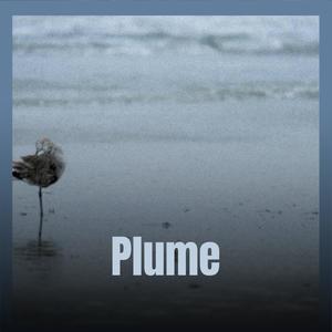 Plume