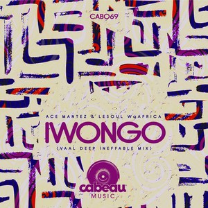 Iwongo (Vaal Deep Ineffable Mix)
