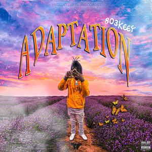 Adaptation (Explicit)