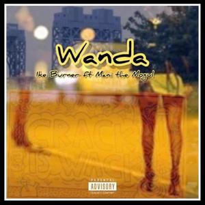 Wanda (feat. Mani The Mogul) (Explicit)