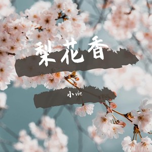 梨花香封面