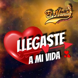 Llegáste A Mi Vida
