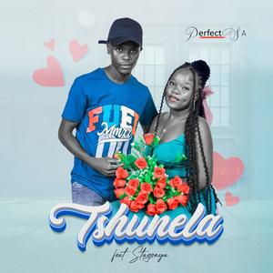 Tshunela (feat. Stagonya)