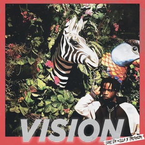 Vision (Explicit)