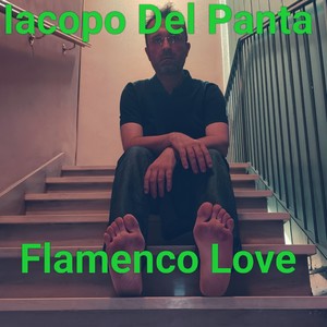 Flamenco Love