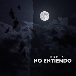 No Entiendo (Remix) [Explicit]