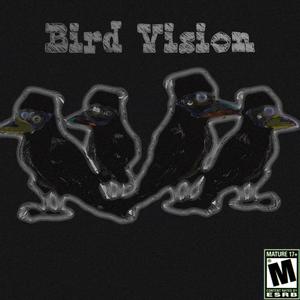 Bird Vision (Explicit)