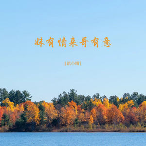 妹有情来哥有意