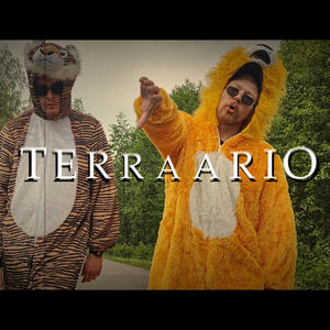 Terraario (feat. Nabbs MC) (Explicit)