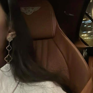 ***** inside a bentley