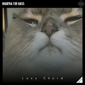 Mantra for Bass (Explicit)