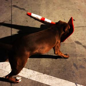 Time Without(feat. Lilith Is Gone)