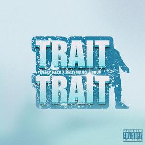TRAIT POUR TRAIT (Explicit)