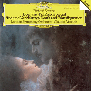 コウキョウシドン・ファン - R. Strauss: Don Juan, Op. 20 (コウキョウシドン・ファン: コウキョウシドン・ファン|交響詩《ドン・ファン》 作品20: 交響詩《ドン・ファン》 作品20)