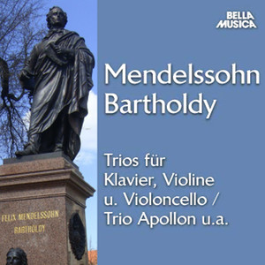 Trio No. 1 für Klavier, Violine und Violoncello in D Minor, Op. 49 - I. Molto allegro agitato
