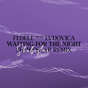 Waiting For The Night (Shubostar Remix)