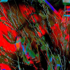 pro forma (Explicit)