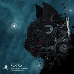 Black Cat (Niko Schwind Riders Of Love Remix)
