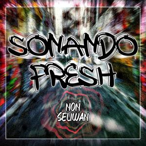 Sonando Fresh(feat. Seliwan) (Explicit)